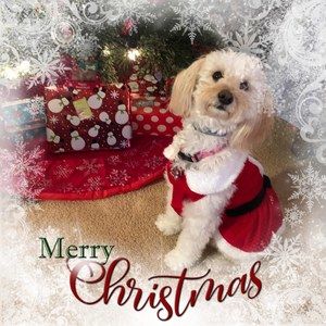 Meet your Posher, Linda